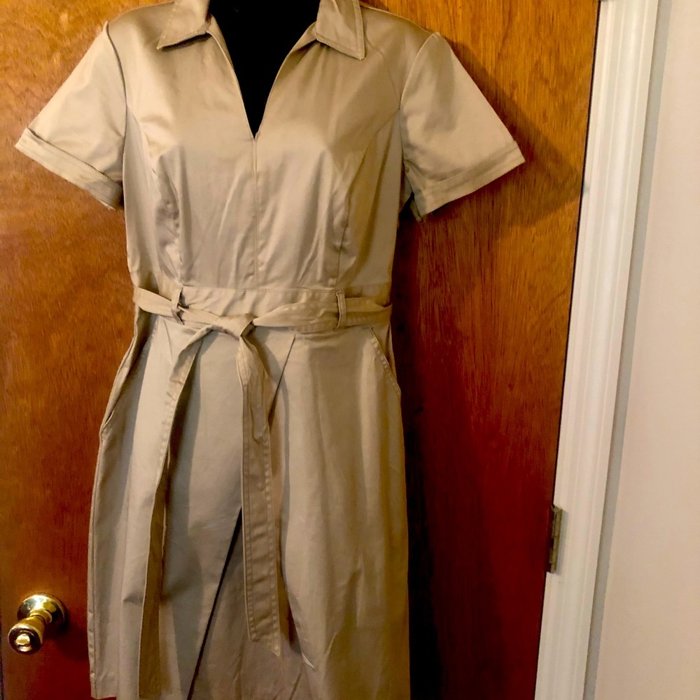 Banana Republic V-neck, belted dress